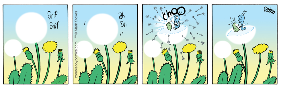 Little Big Sneeze